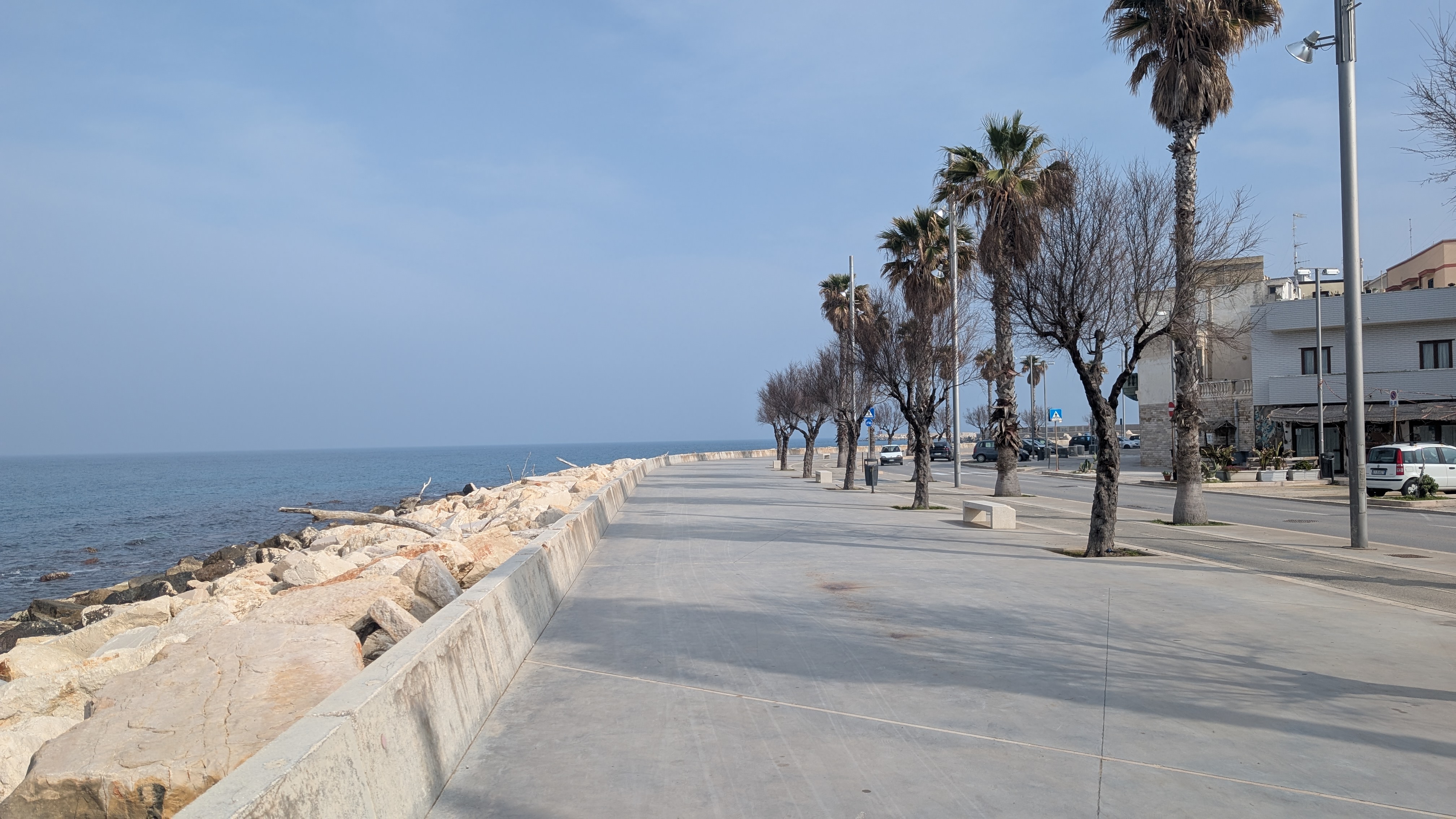 Seaside promenade with palm trees